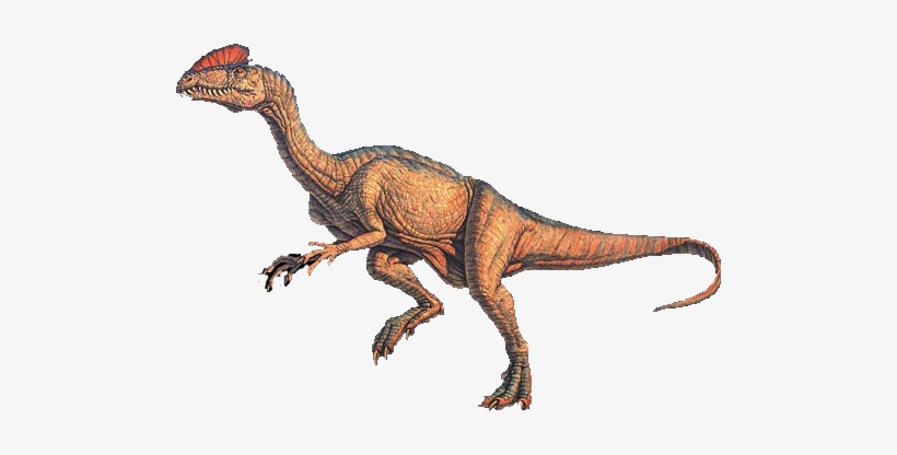 Imagen Del Dinosaurio Dilophosaurus, transparent png