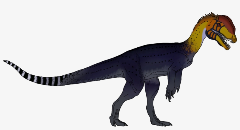 Notice The Lack Of A Frill And Poison - Isle Dilophosaurus Deviantart, transparent png