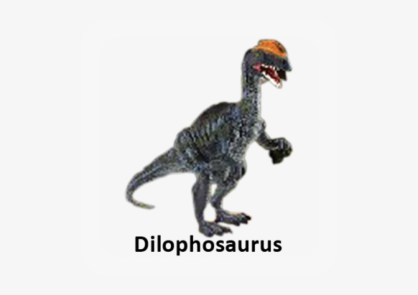 More Views - Collecta 88137 Dilophosaurus -, transparent png