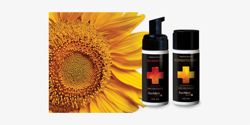 Touchback Plus Abc Good Morning America - Touchback Plus Micro Foam Hair Color Shampoo Rich Black, transparent png