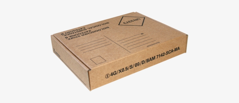 Mailing Box Big 220x170x40mm - Human, transparent png