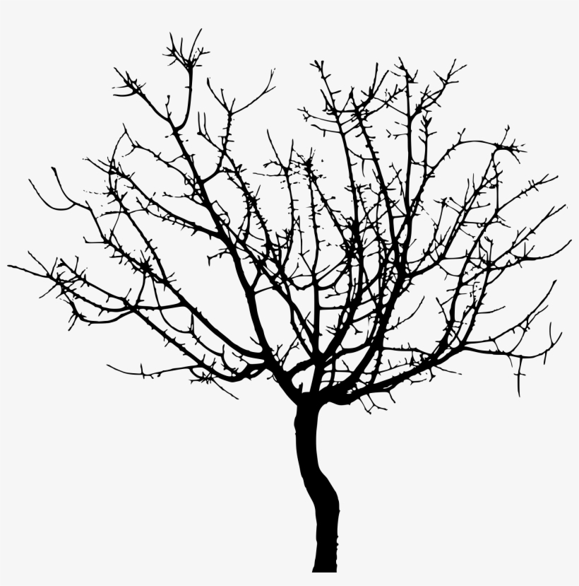Open - Svg Tree, transparent png