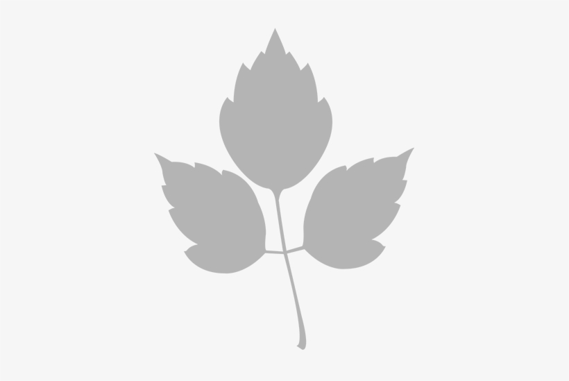 Month No - Month, transparent png