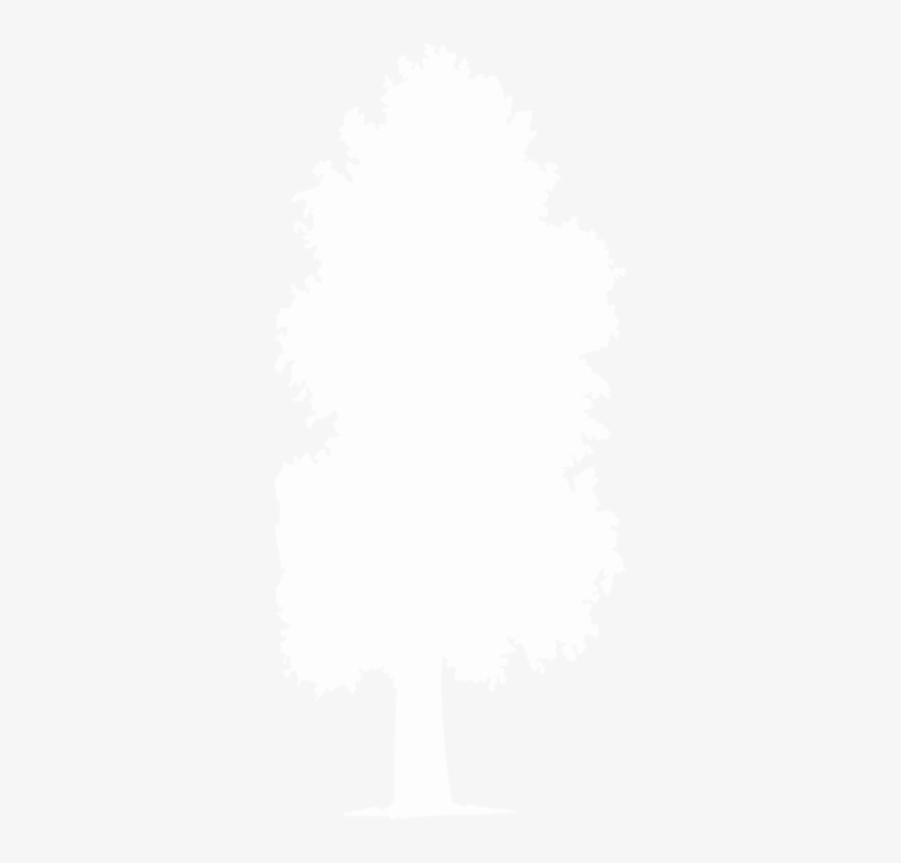 Contact Expert Lawn & Tree For All Your Mowing, Trimming,, transparent png