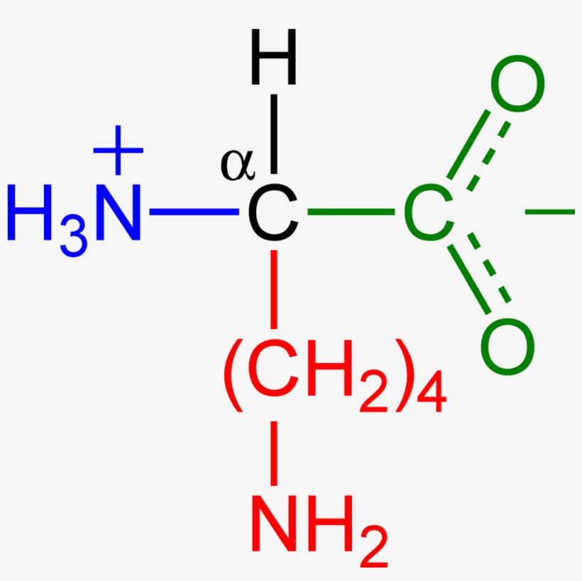 Full Size - 2 Methylbutylamine, transparent png