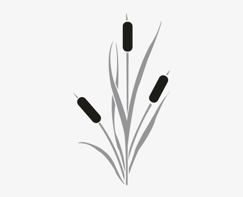 Cattails - Black And White Cattails Clipart, transparent png