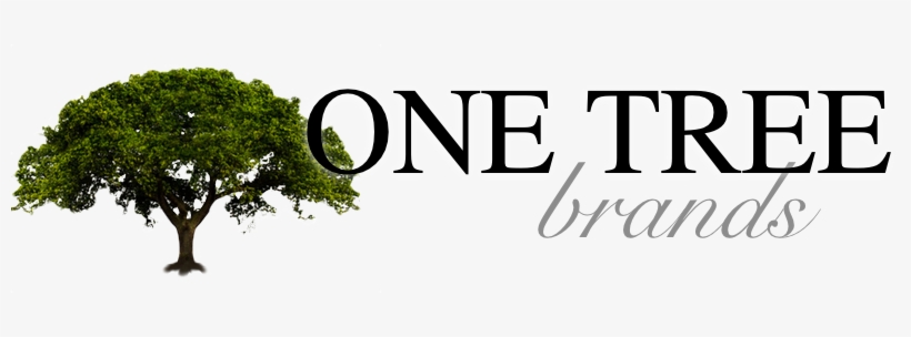 One Tree - El Rastro, transparent png