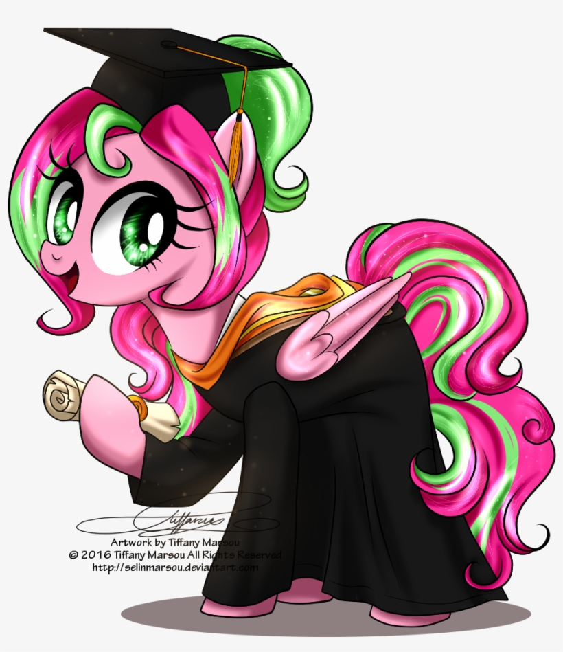 Selinmarsou, Clothes, Diploma, Graduation, Graduation - Cartoon, transparent png