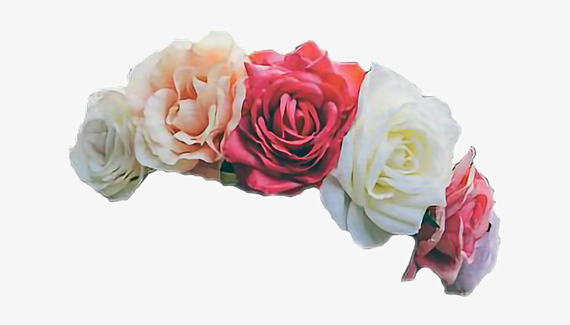 Transpa White Flower Crown - Rose Flower Crown Transparent, transparent png