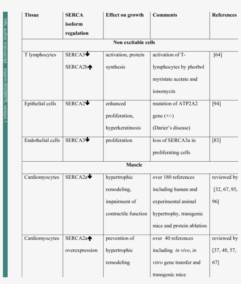 Variation Of Serca Isoforms Expression In Different - Serca, transparent png