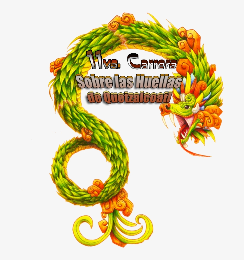 Tiene Previsto Recibir De 350 A 400 Corredores - Illustration, transparent png