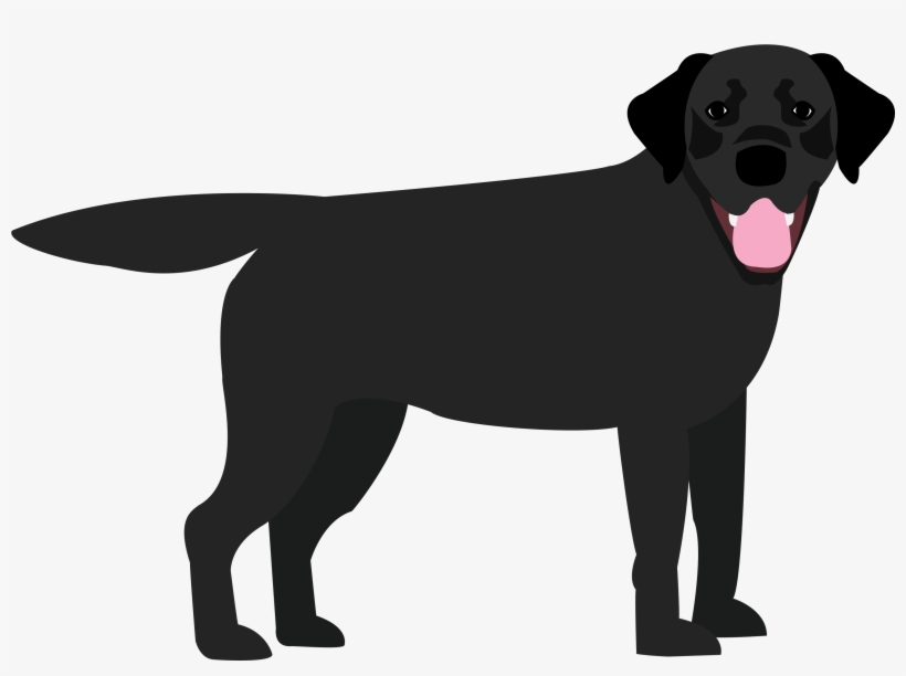 Dog, transparent png