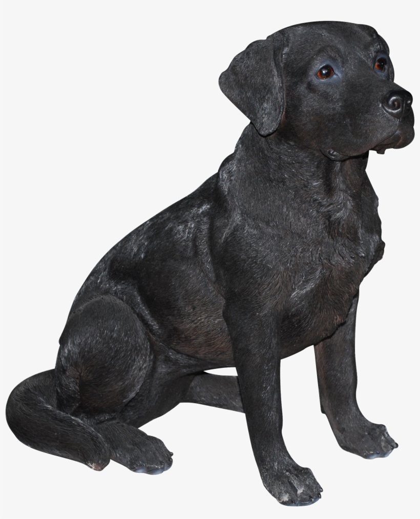 Black Labrador Real Life Ornament By Vivid Arts - Black Lab Welcome Statue, transparent png