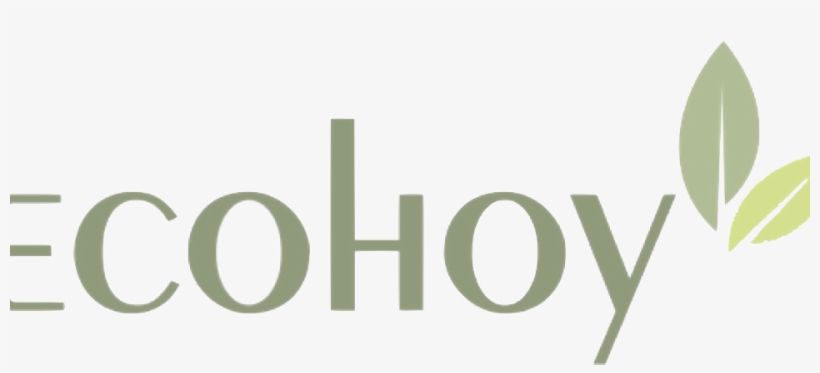 Ecohoy Is A Startup In The Environment Space Focused - Ecohoy, transparent png