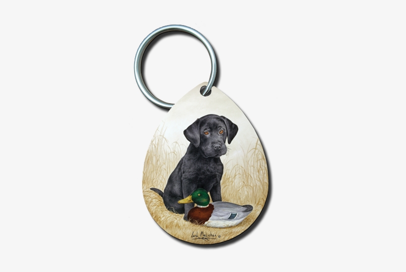 042 Blacklabpuppyw-1887deocy - Labrador Retriever, transparent png