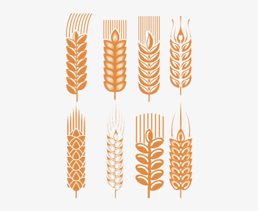 Колоски Пшеницы, Spikelets Of Wheat, Cereals - Wheat, transparent png