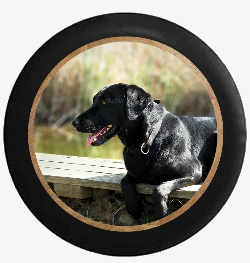 Black Lab Retriever Hunting Dog On The Dock Jeep Camper - Tirecoverpro Full Color Black Lab Retriever Hunting, transparent png