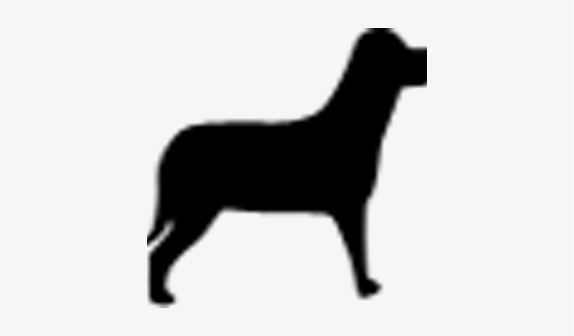 Black Lab Studio - Shape Of A Dog, transparent png
