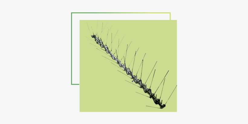 Espigas - Bird Deterrents, transparent png