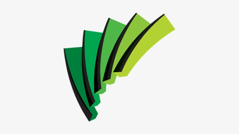 Plant Cell Walls - Arc Centre Of Excellence For Creative Industries, transparent png