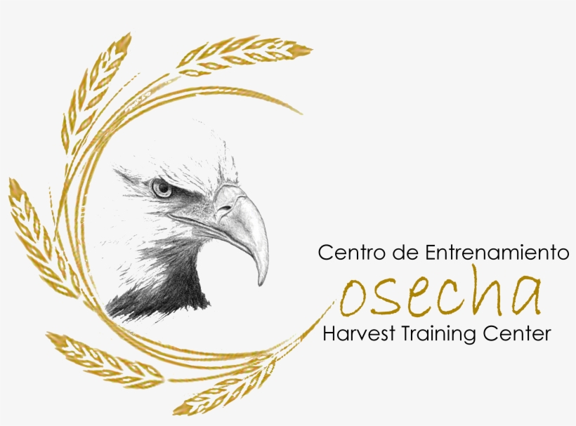 Harvest Wealth, transparent png