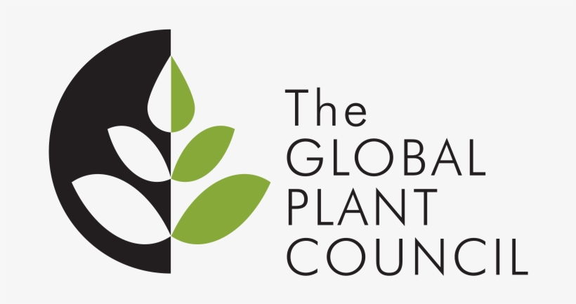 Live Cell Imaging Of Asymmetric Cell Division In Fertilized - Weeding The Gems, transparent png