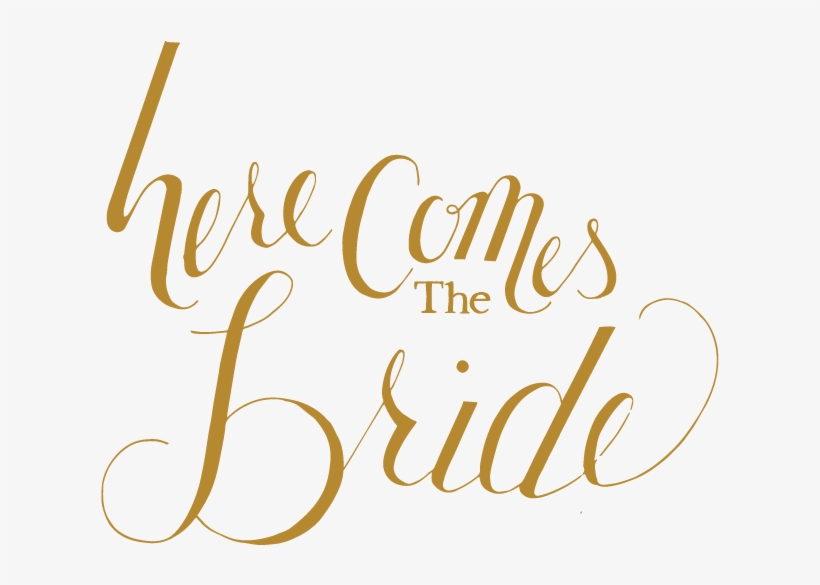 Tte Here Comes The Bride Solo - Rodan And Fields Bride, transparent png