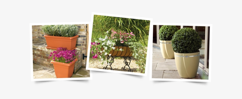 We Also Stock A Large Range Of Plastic Planters And - Подставка Под Цветы Gardman 2016, transparent png