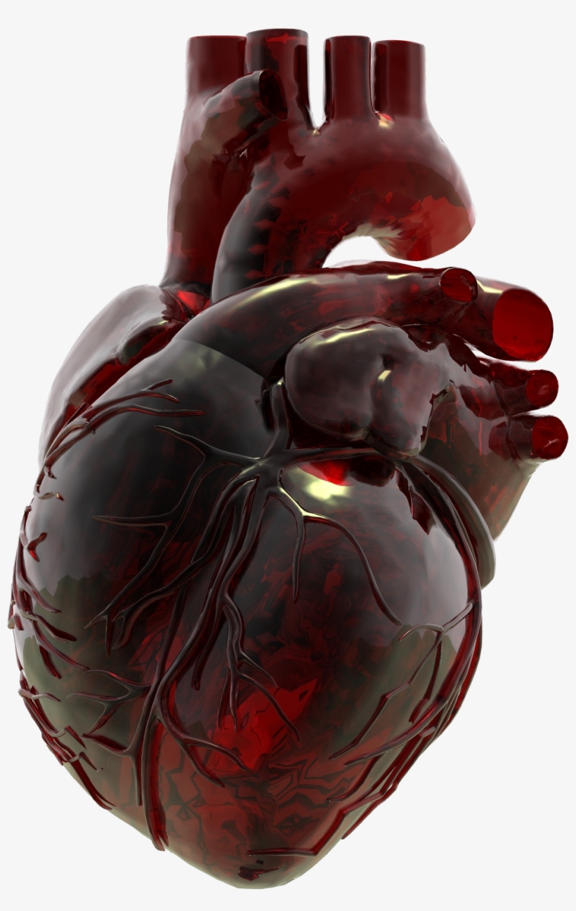 Anatomical Heart, Red Glass, Heart Art, Human Heart, - Glass Anatomical Heart, transparent png