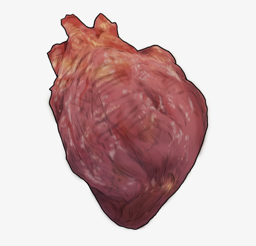 Heart - Portable Network Graphics, transparent png