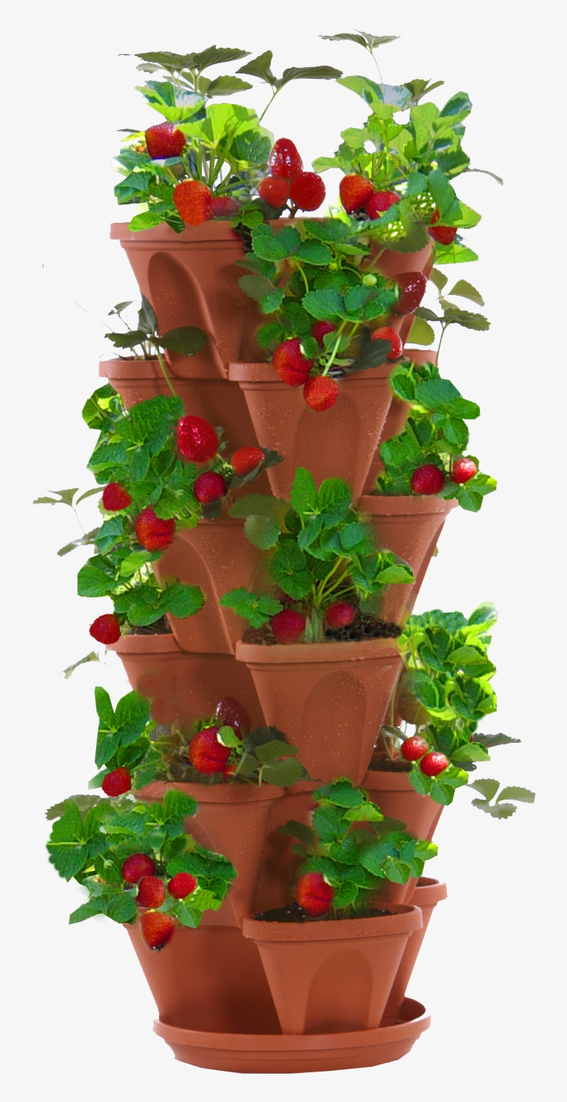 Strawberry Planter - Stacked Strawberry Planter, transparent png