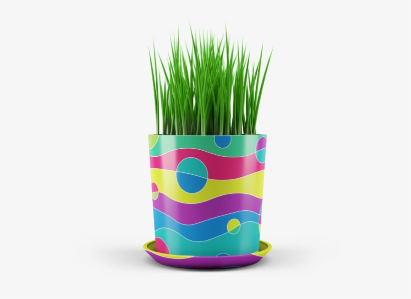 Tvi Garden Planters Proposal - Garden, transparent png