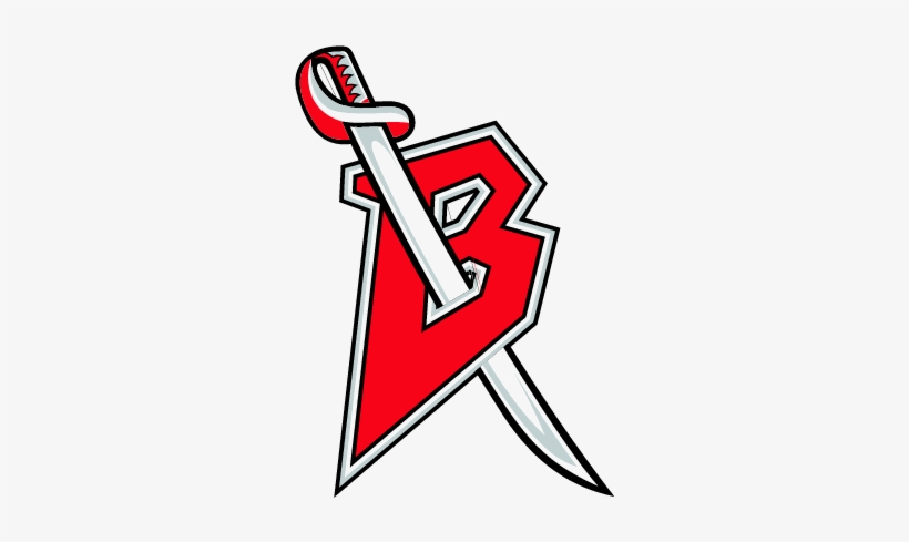 Report - Buffalo Sabres Red And Black Logo, transparent png
