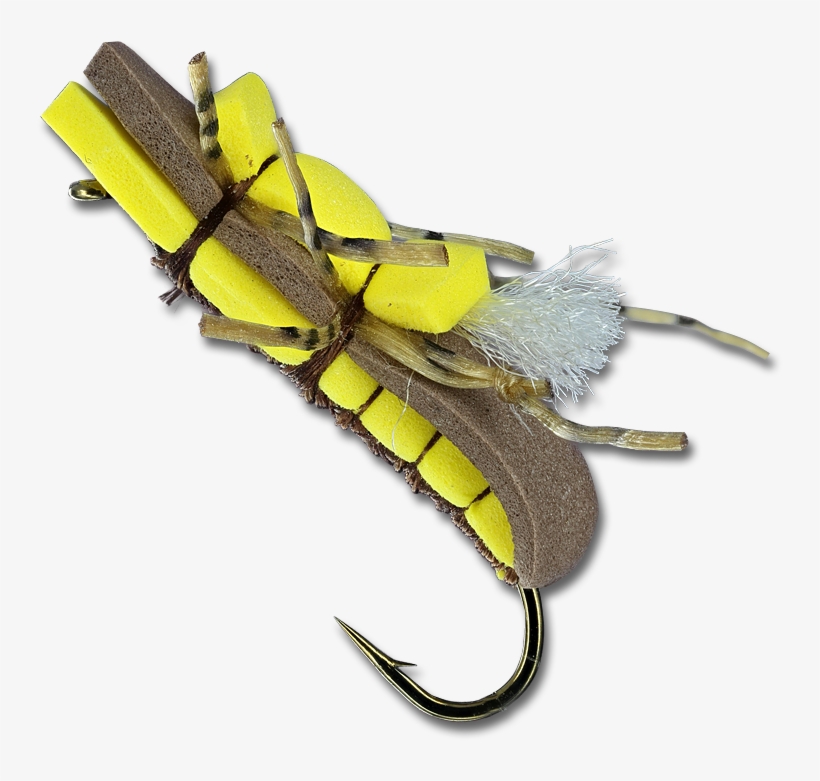 Fat Albert - Fish Hook, transparent png