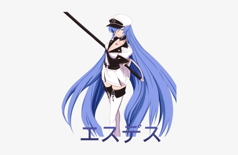 Gender, Female - Akame Ga Kill Anime Wall Print Poster Decor 32x24, transparent png