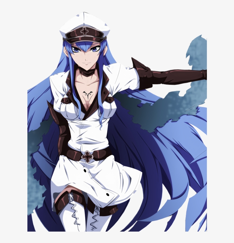 No Caption Provided - Esdes Akame Ga Kill, transparent png