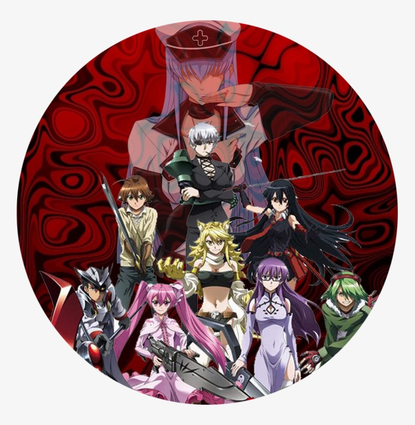 Tatsumi Es Un Chico De Campo Que Llega A La Capital - Akame Ga Kill Night Raid Leone Outfit Cosplay Costume, transparent png