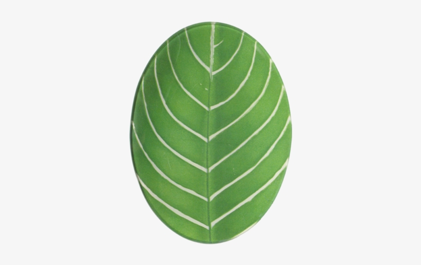John Derian Company Inc Fern Leaf - Platter, transparent png