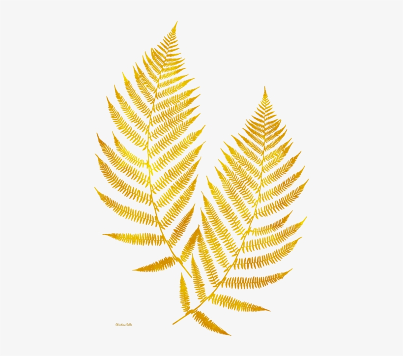 Click And Drag To Re-position The Image, If Desired - Fern Art, transparent png