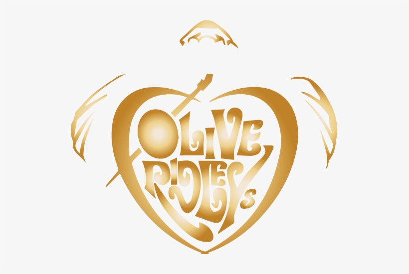 Olive Ridley's Taphouse & Grill - Olive Ridley's Restaurant, transparent png