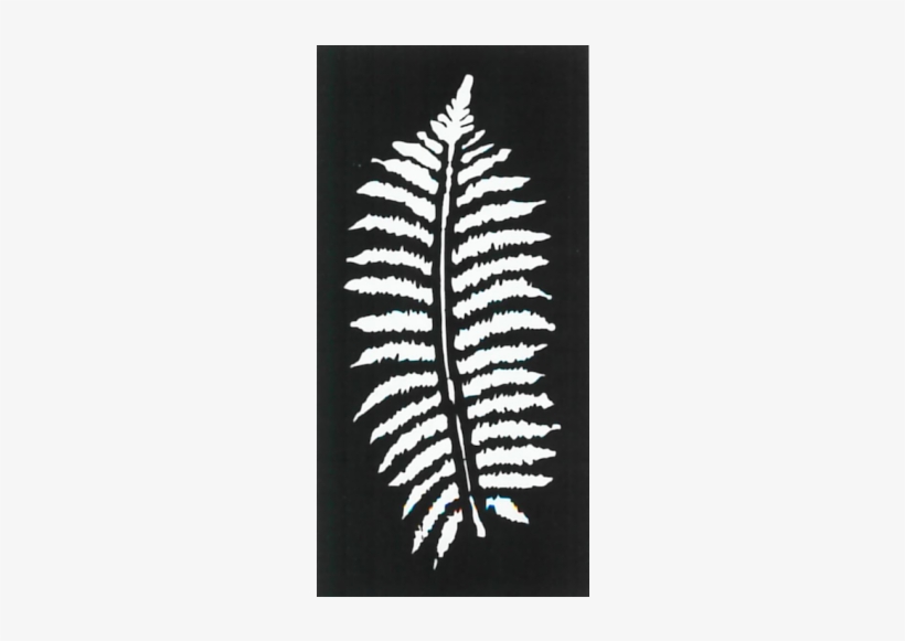 Fern Leaf - Fern Leaves Decorative Screen, transparent png
