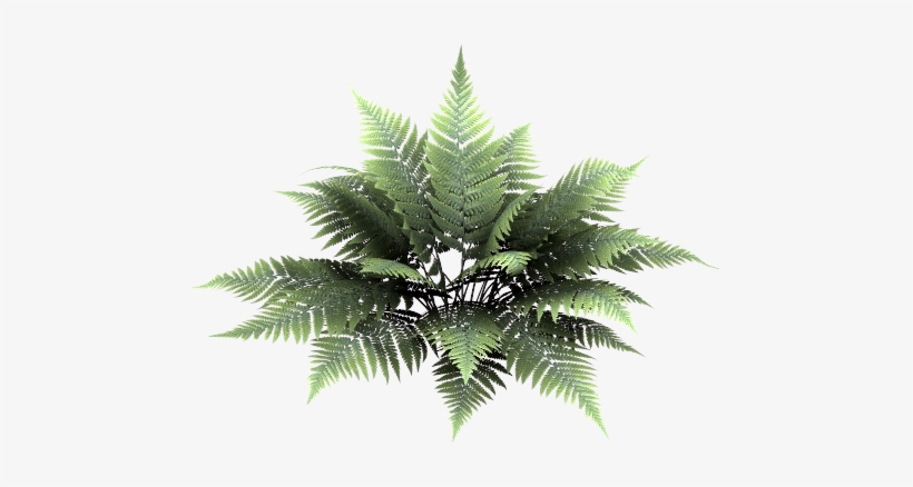 L'île De Kahlan - Msn Hangulatjelek, transparent png