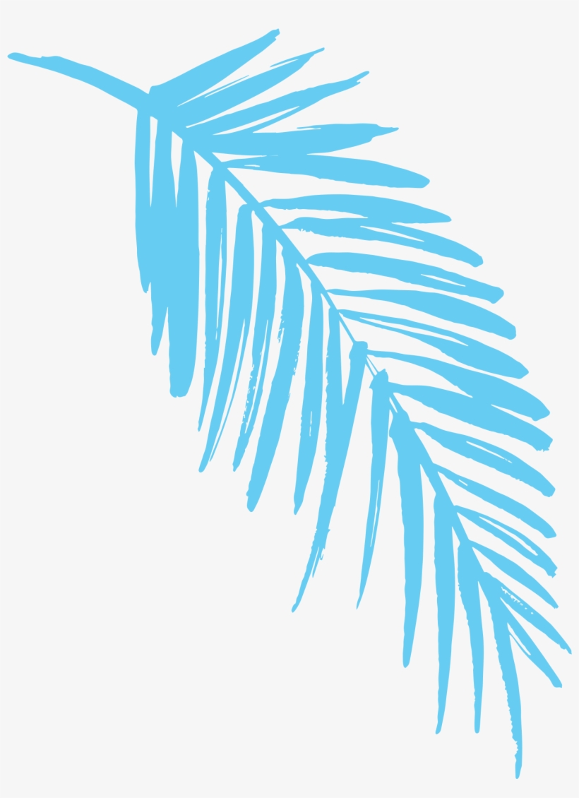 2019 Light Blue Fern Leaf - Clip Art, transparent png