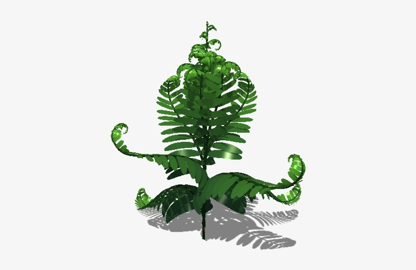 Fern Leaf Colours - Leaf, transparent png