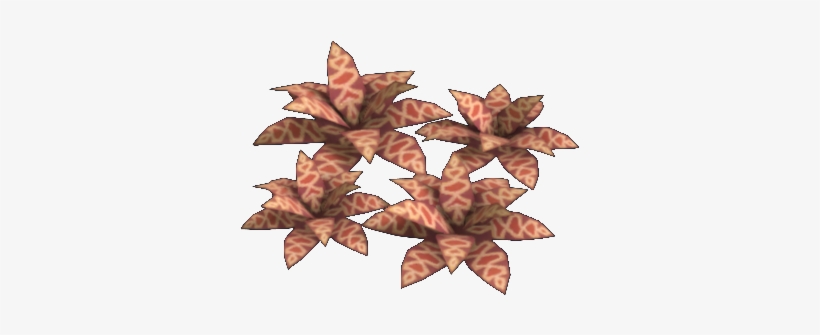 Maple Leaf, transparent png