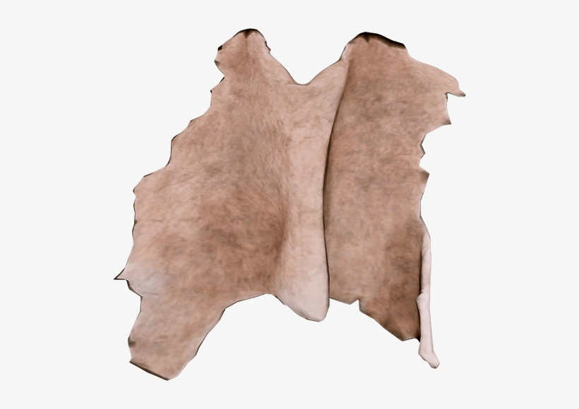 Wiki, transparent png
