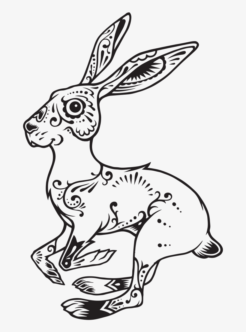 The Meaning Of The Rabbit - Suerte Bunny, transparent png