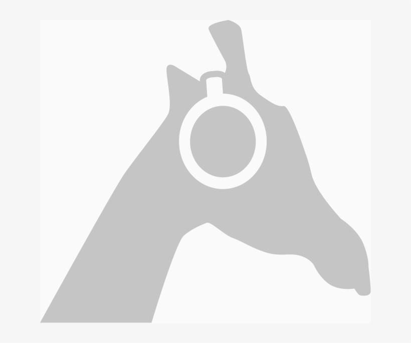 Shadow Hills Mastering Compressor Stereo Valve Monster - Firearm, transparent png