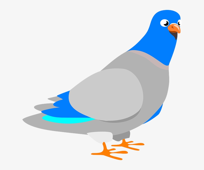 Dove Vector - Pigeon Clip Art, transparent png