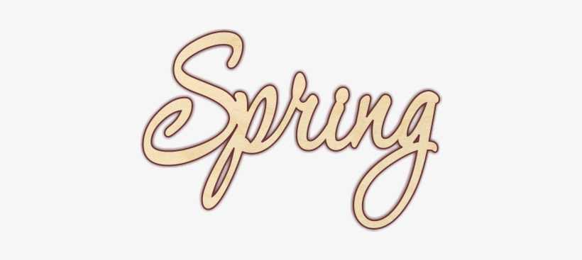 Spring Unfinished 1/4" Birch Plywood - Laser, transparent png
